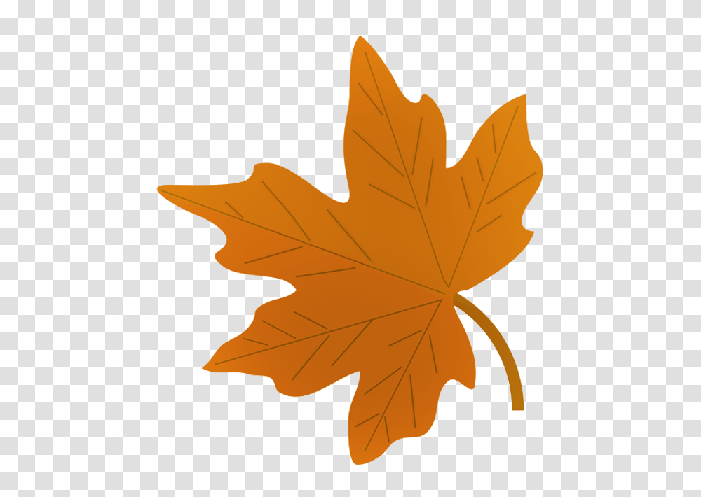 Fall Leaves Clip Art, Leaf, Plant, Maple Leaf, Tree Transparent Png