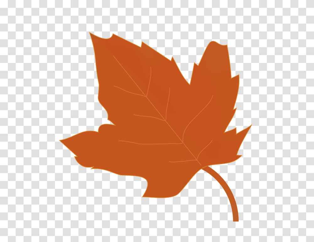 Fall Leaves Clip Art, Leaf, Plant, Maple Leaf, Tree Transparent Png