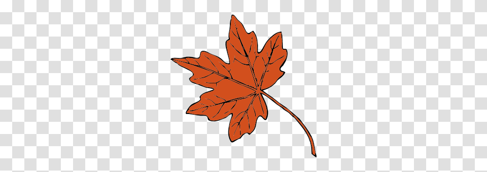 Fall Leaves Clip Art, Leaf, Plant, Tree, Maple Leaf Transparent Png