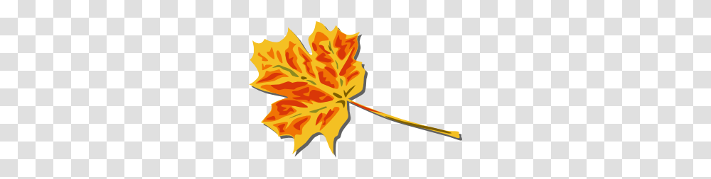 Fall Leaves Clip Art, Leaf, Plant, Tree, Maple Transparent Png