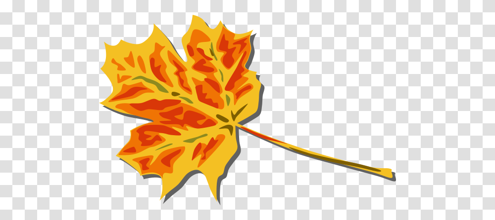 Fall Leaves Clip Arts For Web, Leaf, Plant, Tree, Maple Transparent Png