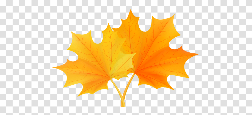 Fall Leaves Clip, Leaf, Plant, Tree, Maple Leaf Transparent Png