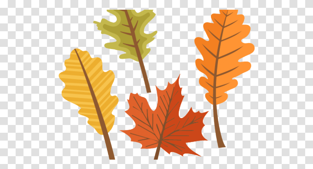 Fall Leaves Clipart Cute Autumn Leaves Cliparts Fall Clipart Leaves, Leaf, Plant, Tree, Grain Transparent Png