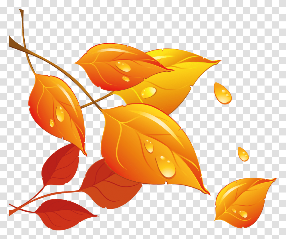 Fall Leaves Clipart Download Fall Leaf Cartoon, Plant, Floral Design, Pattern Transparent Png