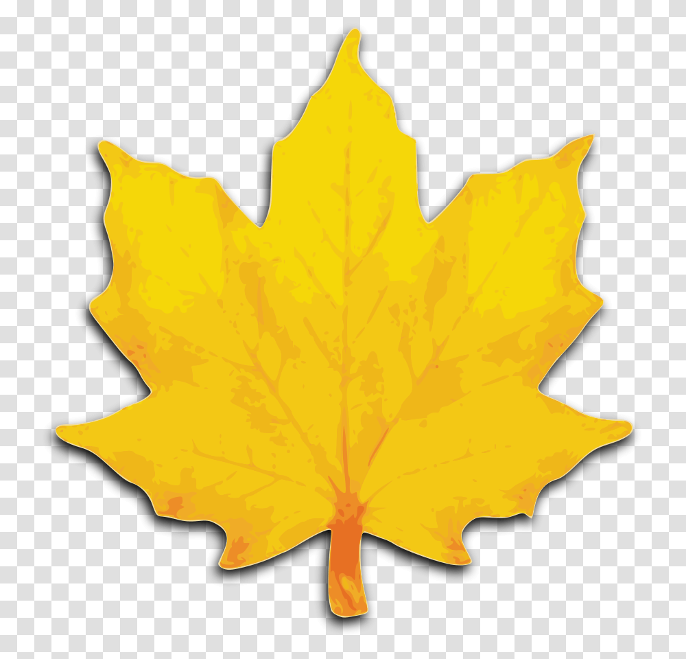 Fall Leaves Clipart Free Clipart Images, Leaf, Plant, Tree, Maple Leaf Transparent Png