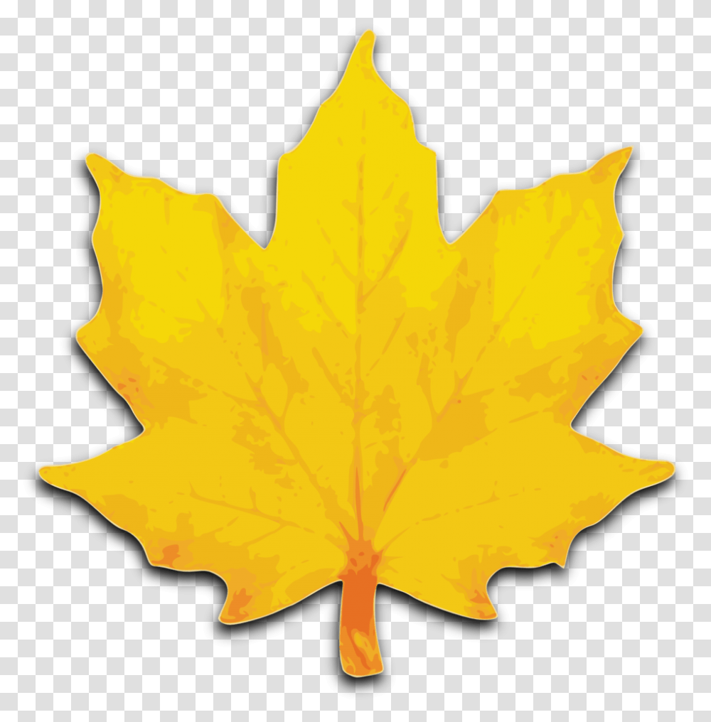Fall Leaves Clipart Free Clipart Images Maple Tree Leaves Clip Art, Leaf, Plant, Maple Leaf Transparent Png