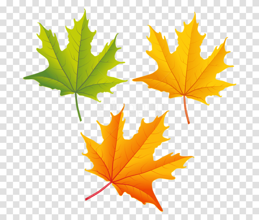 Fall Leaves Clipart High Resolution Autumn Leaves Clipart, Leaf, Plant, Tree, Maple Leaf Transparent Png