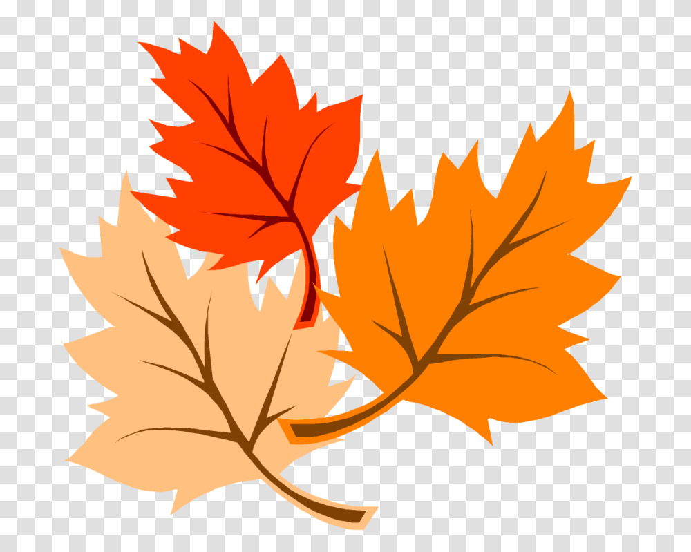 Fall Leaves Clipart, Leaf, Plant, Maple Leaf, Tree Transparent Png