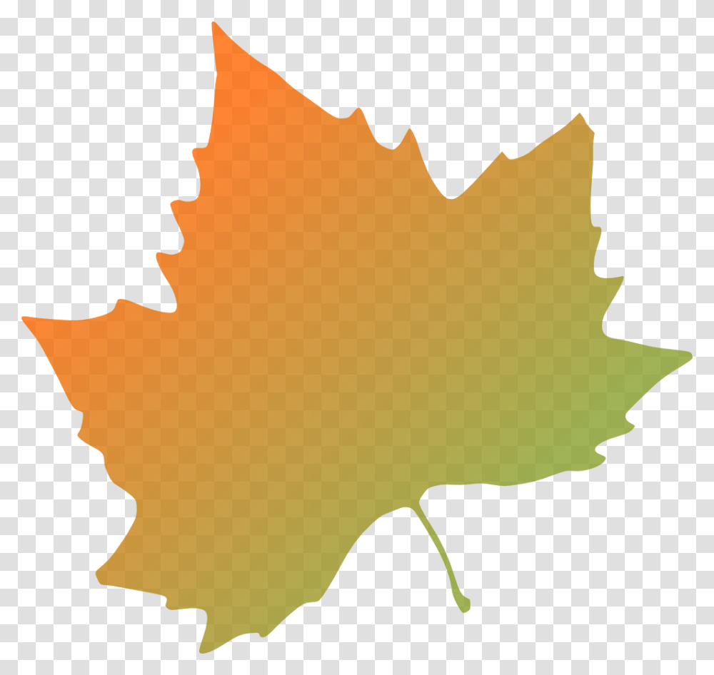 Fall Leaves Clipart, Leaf, Plant, Tree, Maple Leaf Transparent Png