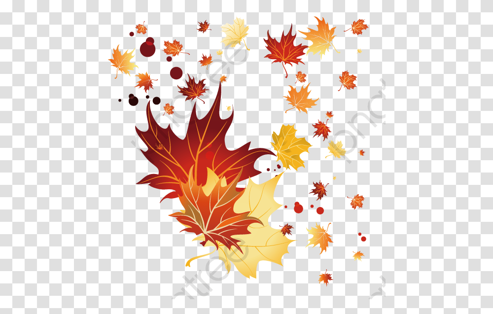 Fall Leaves Clipart Vector Autumn Leaves Falling Designs, Leaf, Plant, Tree, Maple Transparent Png