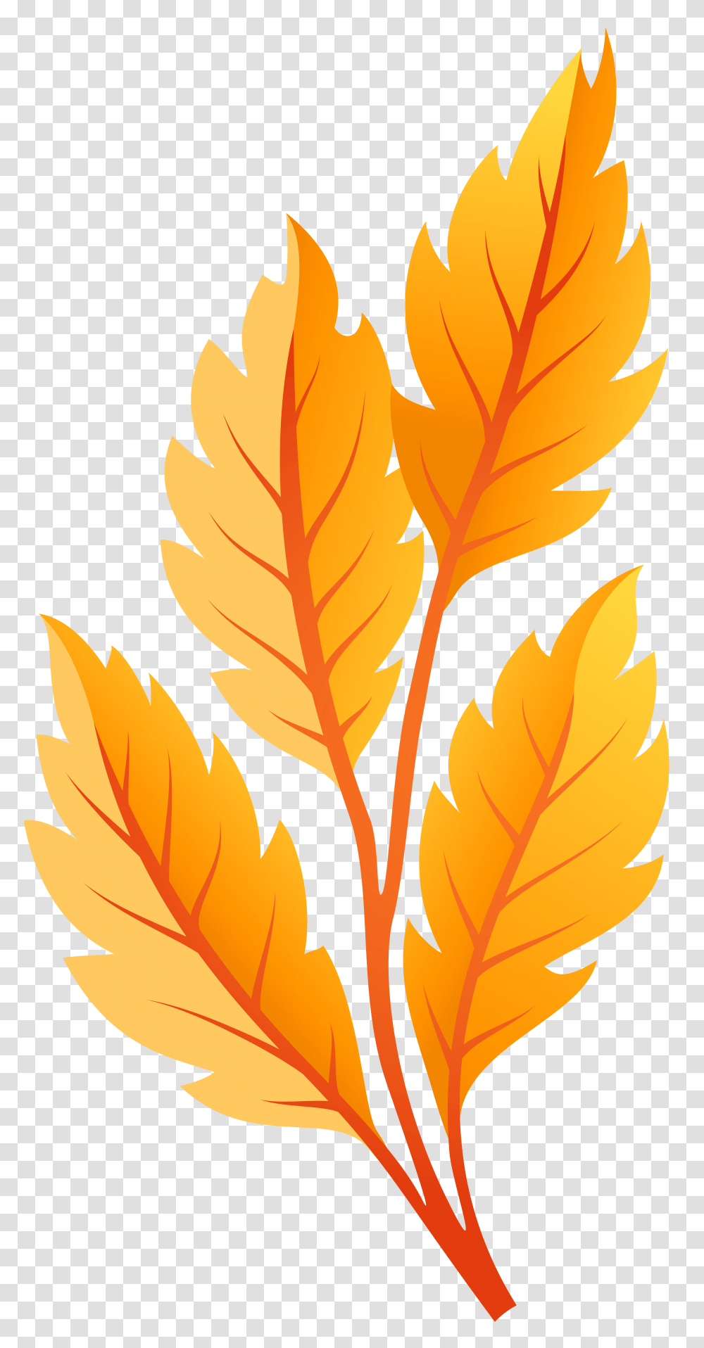 Fall Leaves Clipart Yellow Orange Leaves Orange Leaves Illustration, Leaf, Plant, Tree, Veins Transparent Png