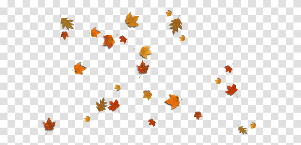 Fall Leaves Corner Border Download, Leaf, Plant, Tree, Maple Leaf Transparent Png