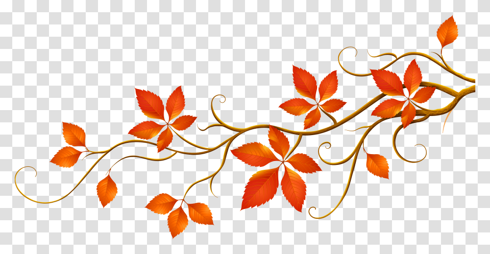 Fall Leaves Fall Autumn Free Floral Design, Leaf, Plant Transparent Png