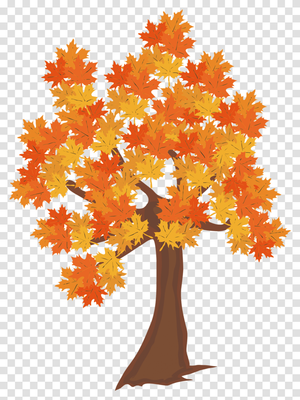 Осеннее дерево на белом фоне