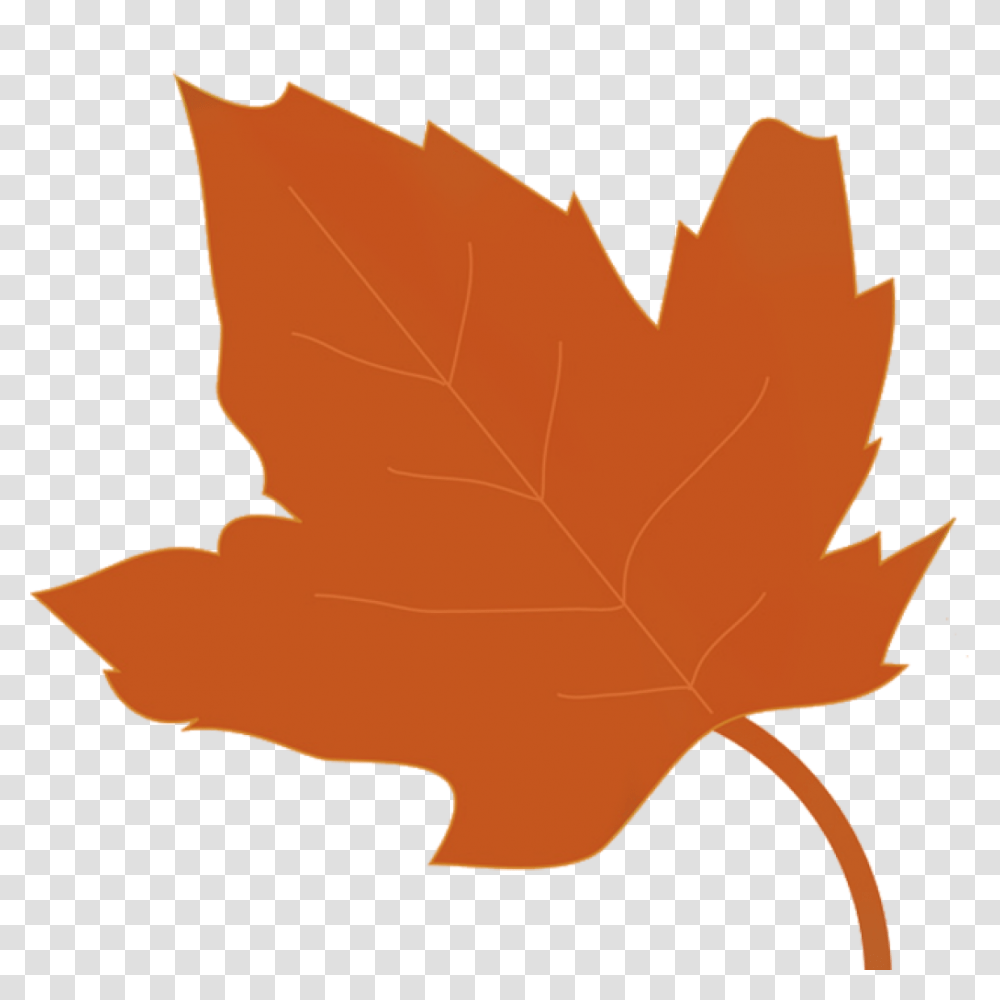 Fall Leaves Graphic Clip Art Beautiful Autumn Clipart Graphics, Leaf, Plant, Maple Leaf, Tree Transparent Png
