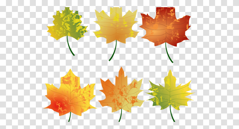 Fall Leaves Graphic Fall Leaf Vector, Plant, Tree, Maple, Maple Leaf Transparent Png