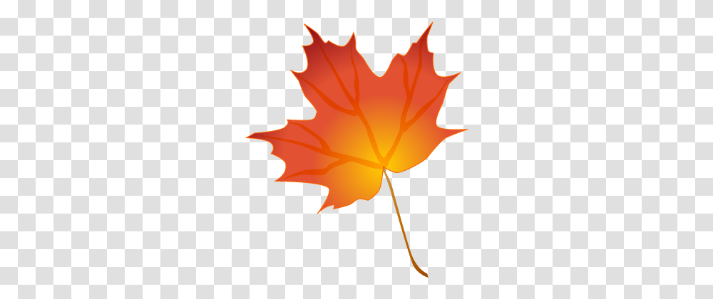 Fall Leaves Icons, Leaf, Plant, Tree, Maple Leaf Transparent Png