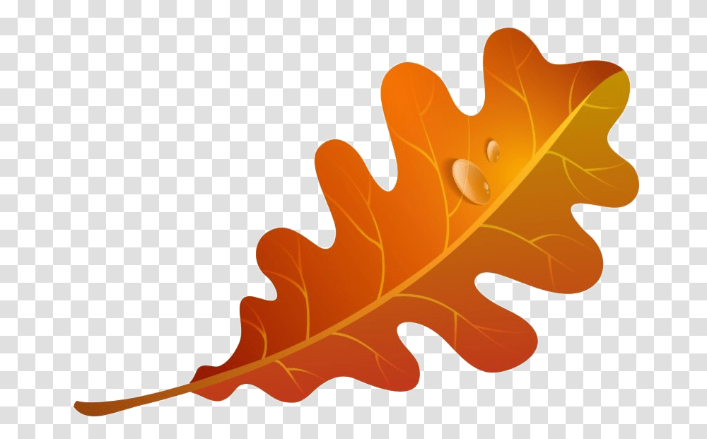 Fall Leaves Image Autumn Oak Leaf Clipart, Plant, Tree, Grain, Produce Transparent Png