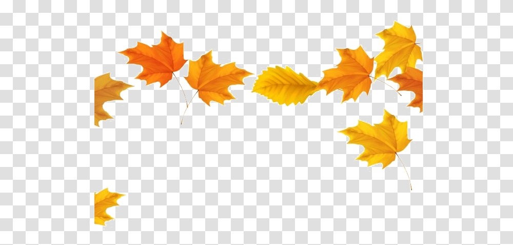 Fall Leaves Image Fall Leaves Background, Leaf, Plant, Maple Leaf, Tree Transparent Png