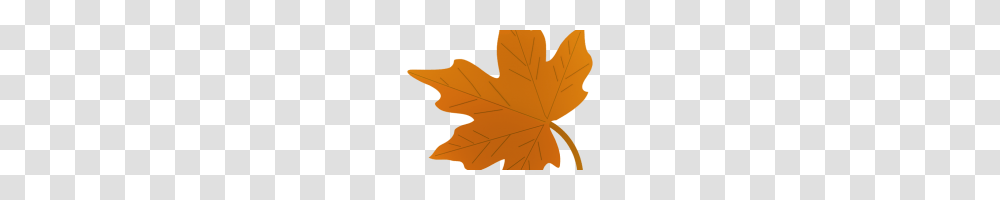 Fall Leaves Images Clip Art Free Clipart Fall Leaves, Leaf, Plant, Maple Leaf, Tree Transparent Png