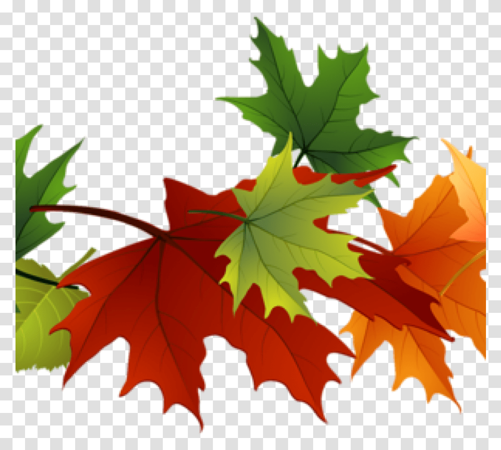 Fall Leaves Images Clip Art Free Leaf Clipart At Getdrawings Background Fall Leaves, Plant, Tree, Maple, Maple Leaf Transparent Png
