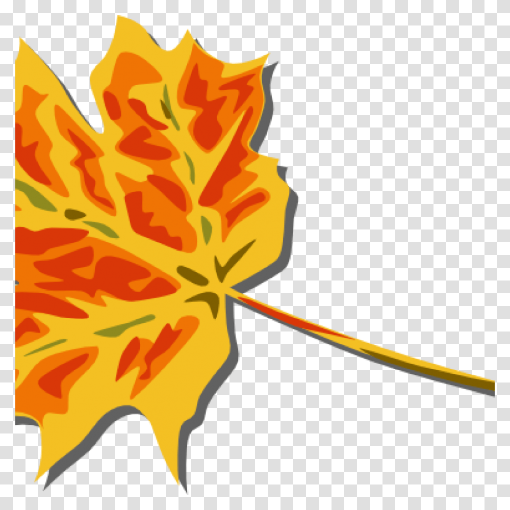 Fall Leaves Images Clip Art Math Clipart, Leaf, Plant, Tree, Maple Transparent Png