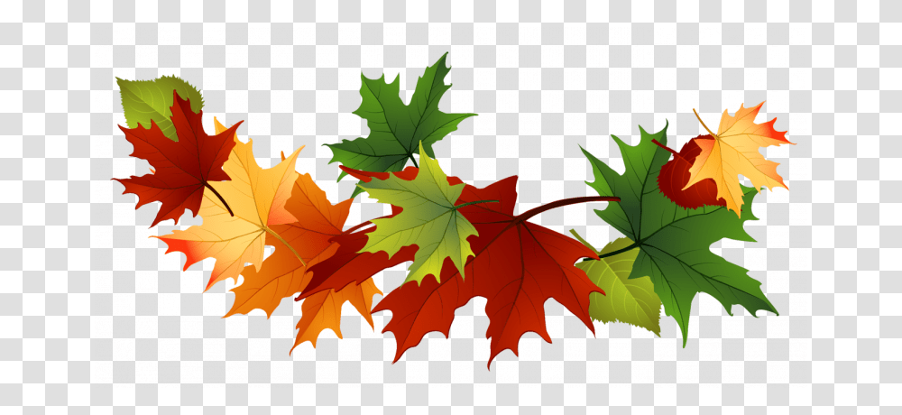 Fall Leaves, Leaf, Plant, Tree, Maple Transparent Png