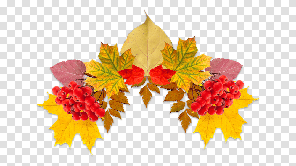 Fall Leaves Leavescrown Crownfreetoedit Illustration, Leaf, Plant, Tree, Maple Transparent Png