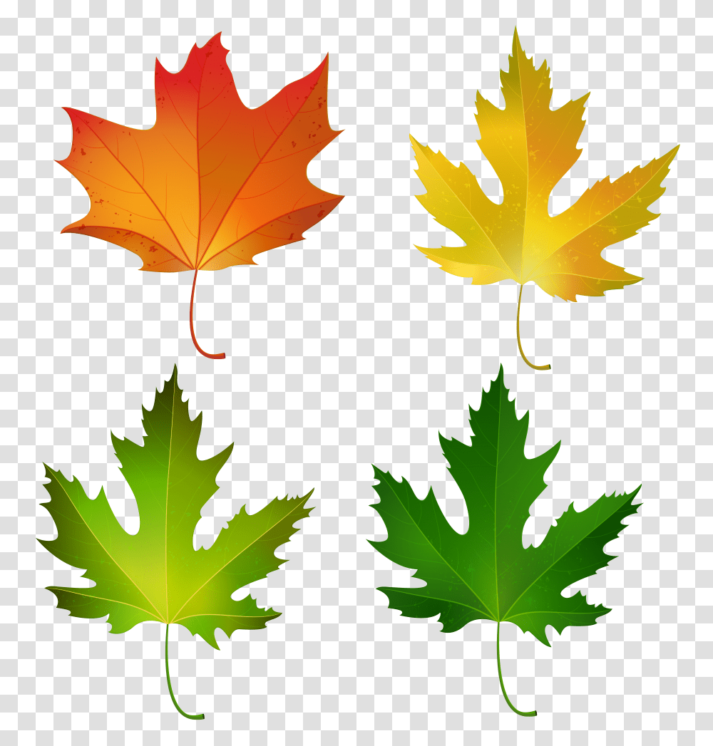 Fall Maple Leaves Set Decorative Clipart Gallery, Leaf, Plant, Tree, Maple Leaf Transparent Png