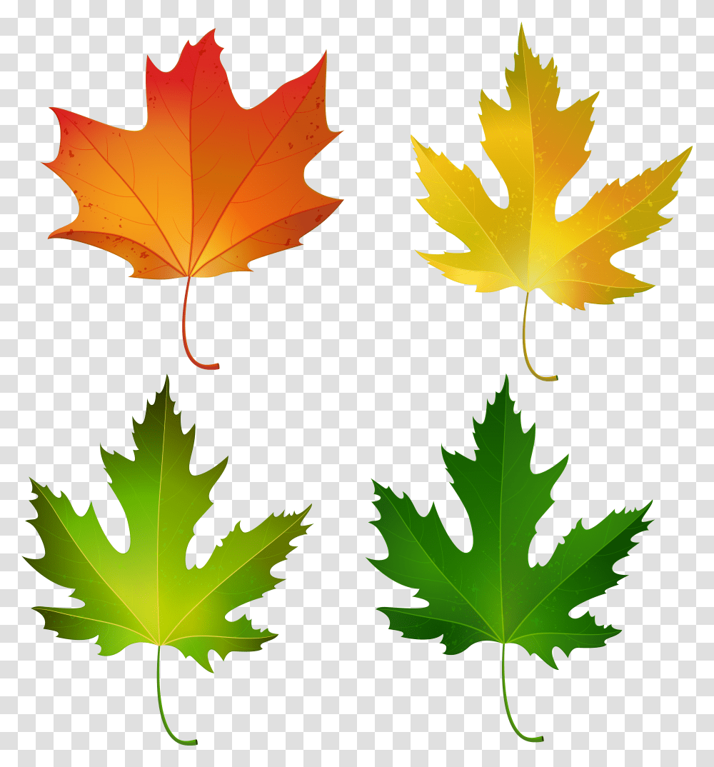 Fall Maple Leaves Set Decorative Clipart Image Fall Maple Leaf Clipart, Plant, Tree, Poster, Advertisement Transparent Png