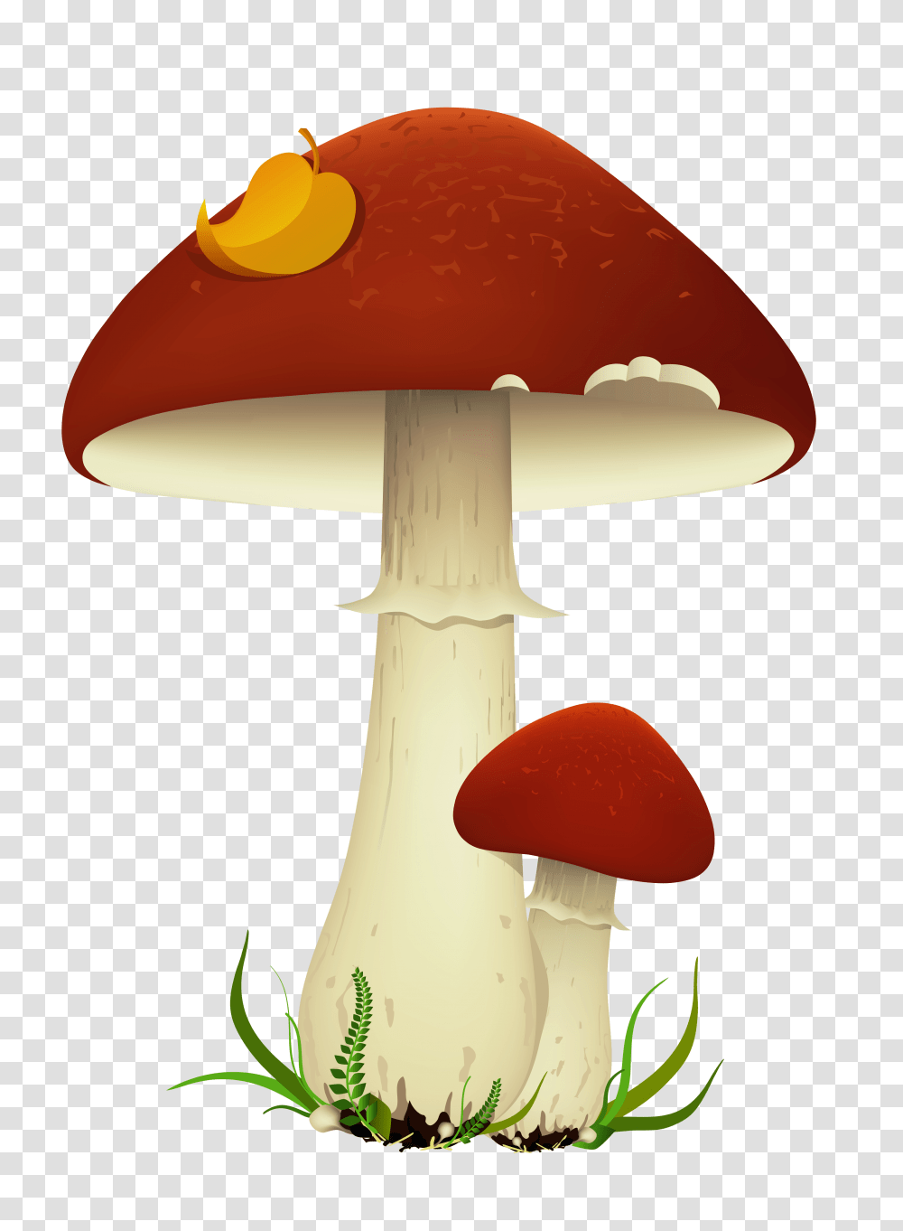 Fall Mushrooms, Plant, Amanita, Agaric, Fungus Transparent Png