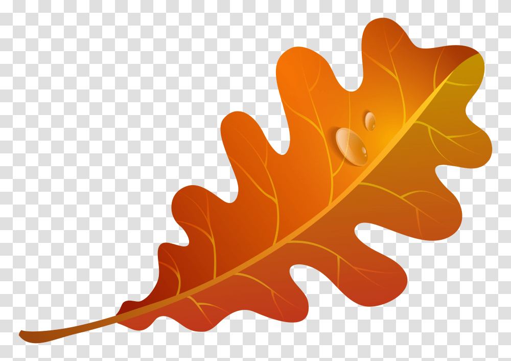Fall Orange Leaf Clipart, Plant, Veins, Grain, Produce Transparent Png