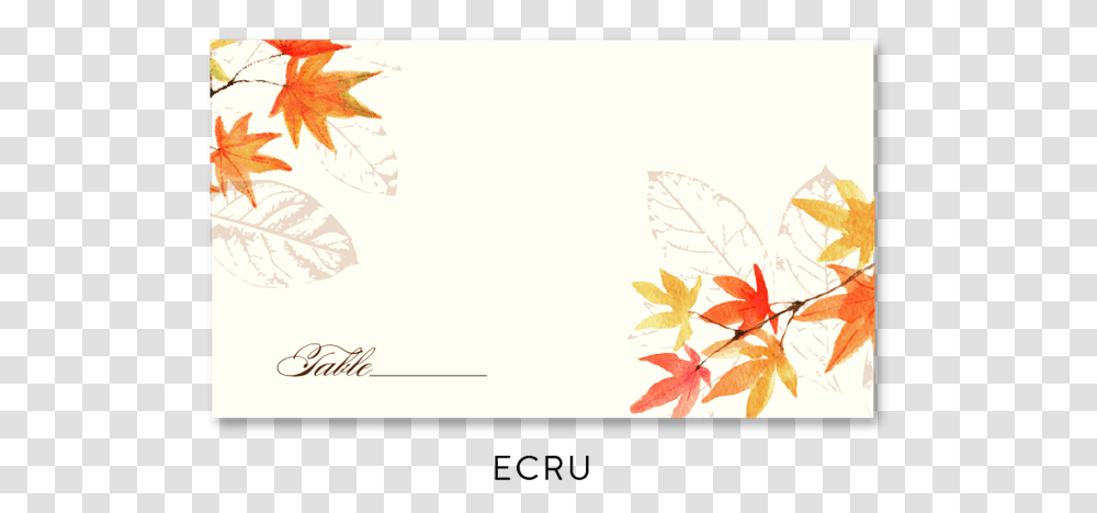 Fall Place Cards Illustration, Leaf, Plant, Maple Leaf, Tree Transparent Png