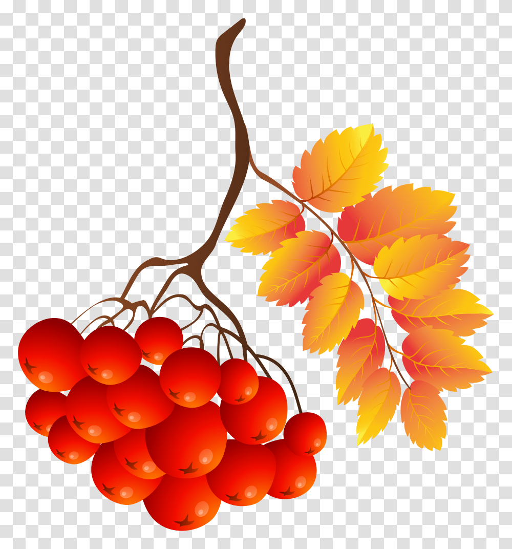 Fall Plant Clip Art Transparent Png