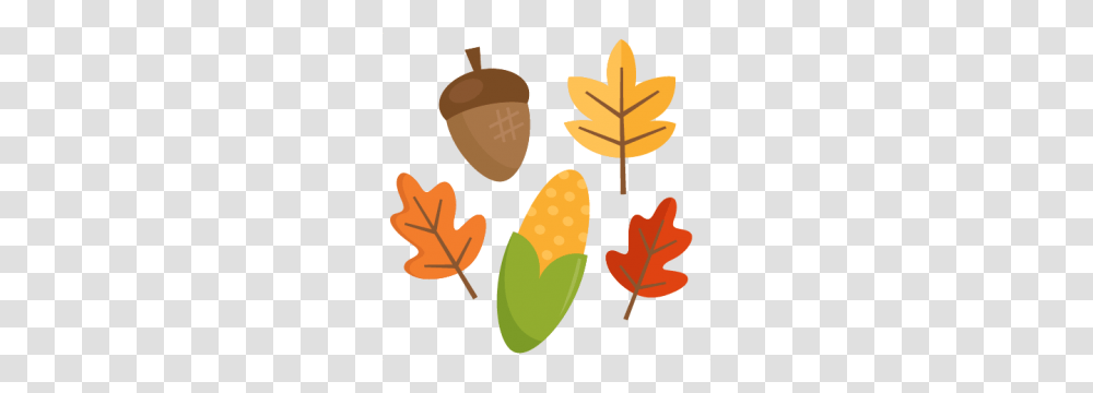 Fall, Plant, Seed, Grain, Produce Transparent Png