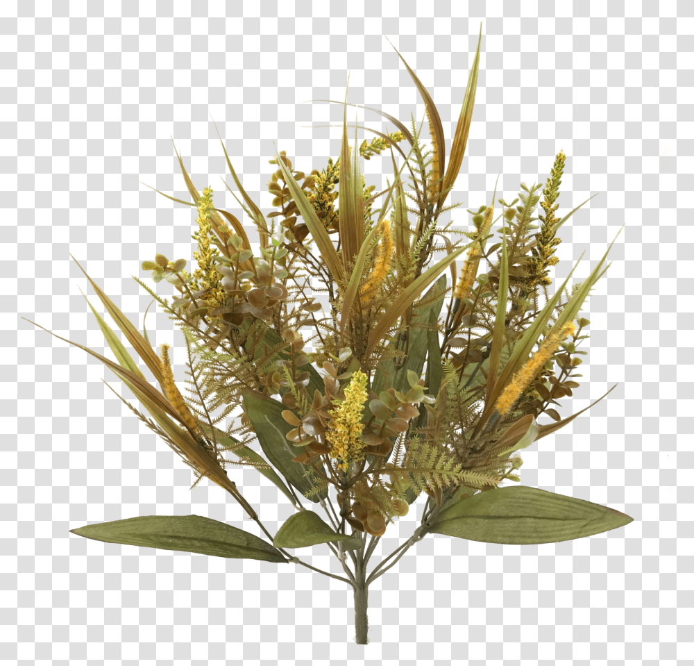 Fall Plastic Mix Grass Bush X Protea, Plant, Flower, Pollen, Asteraceae Transparent Png