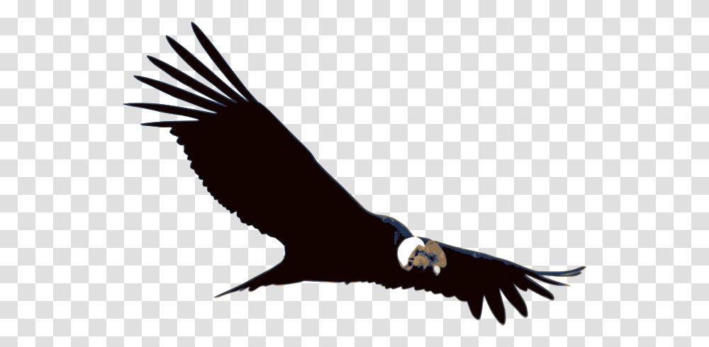 Fall Prey To Laptop Thieves Free Brand Software Bird Of Prey Grand Canyon, Animal, Vulture, Flying, Eagle Transparent Png