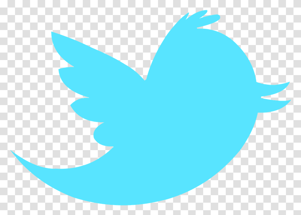 Fall Semester To Do Background Twitter Bird Logo Old, Shark, Sea Life, Fish, Animal Transparent Png