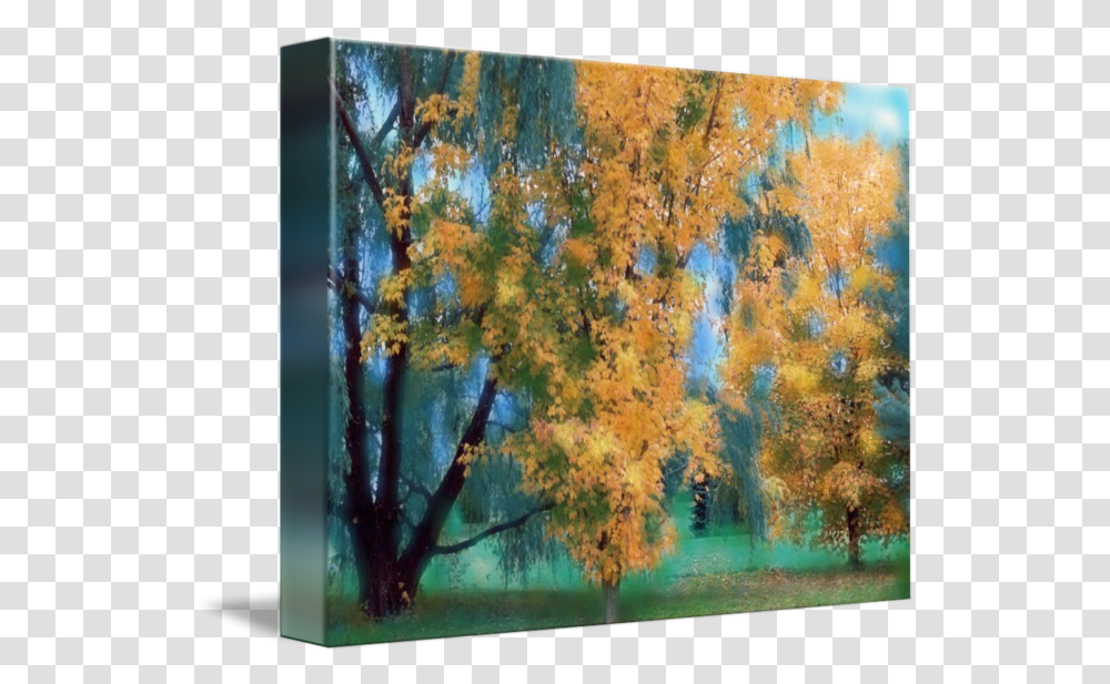 Fall Tree Art Print Grove Autumn Trees By Wanda Edwards Birch, Painting, Plant, Maple, Vegetation Transparent Png