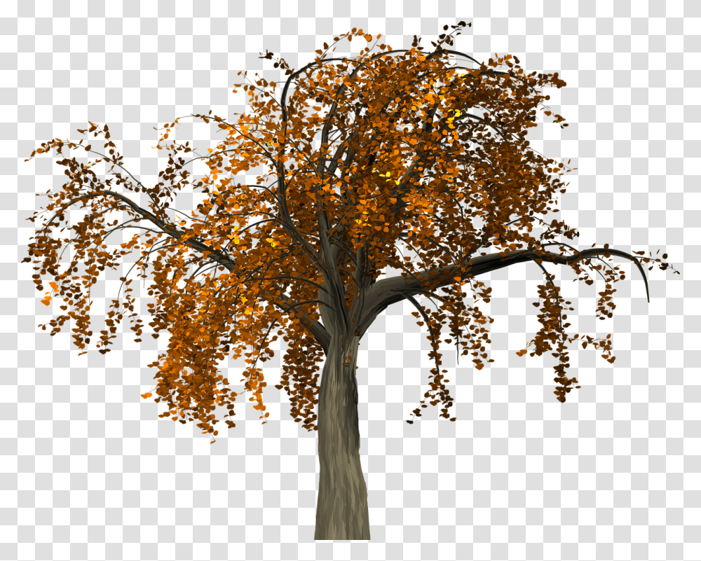 Fall Tree Branch Collections Red Leaves Tree, Plant, Tree Trunk, Maple, Leaf Transparent Png