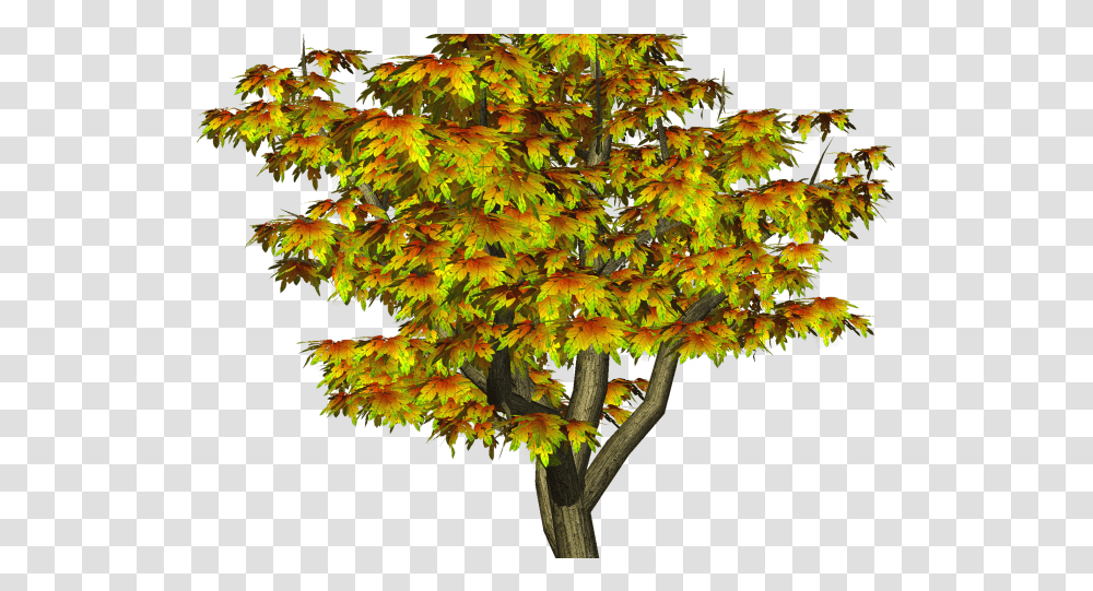 Fall Tree Clipart All Photo Editing, Leaf, Plant, Maple, Maple Leaf Transparent Png