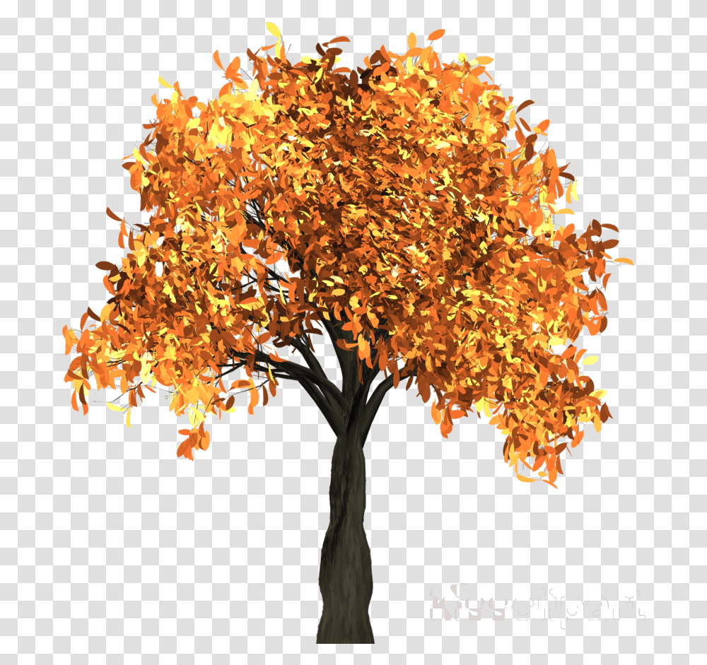 Fall Tree Clipart Clip Art, Plant, Maple, Chandelier, Lamp Transparent Png