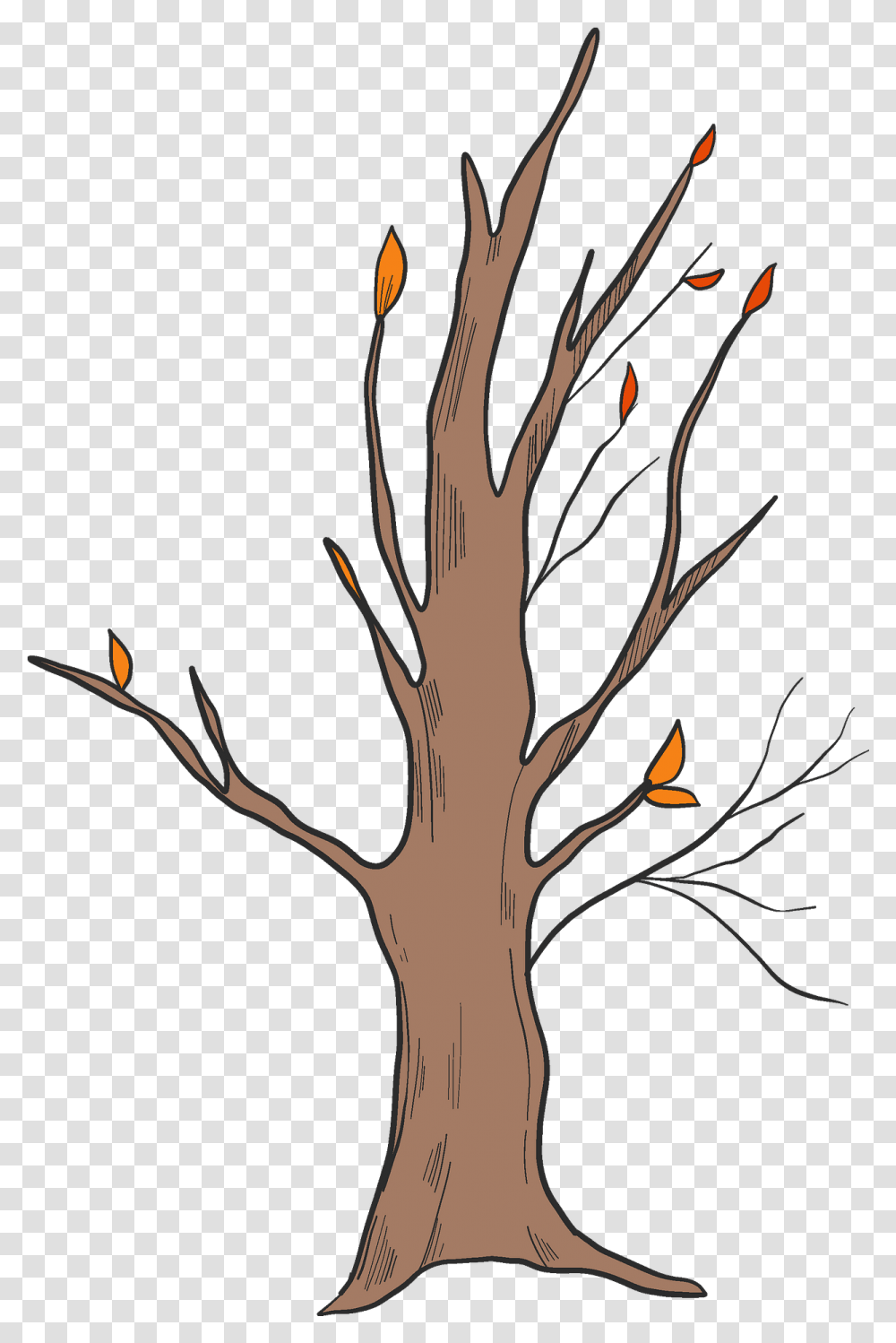 Fall Tree Clipart Clip Art, Plant, Tree Trunk, Flower, Blossom Transparent Png