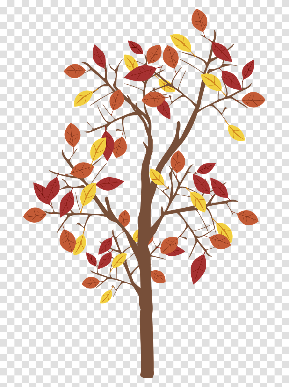 Fall Tree Graphics, Plant, Leaf, Floral Design, Pattern Transparent Png