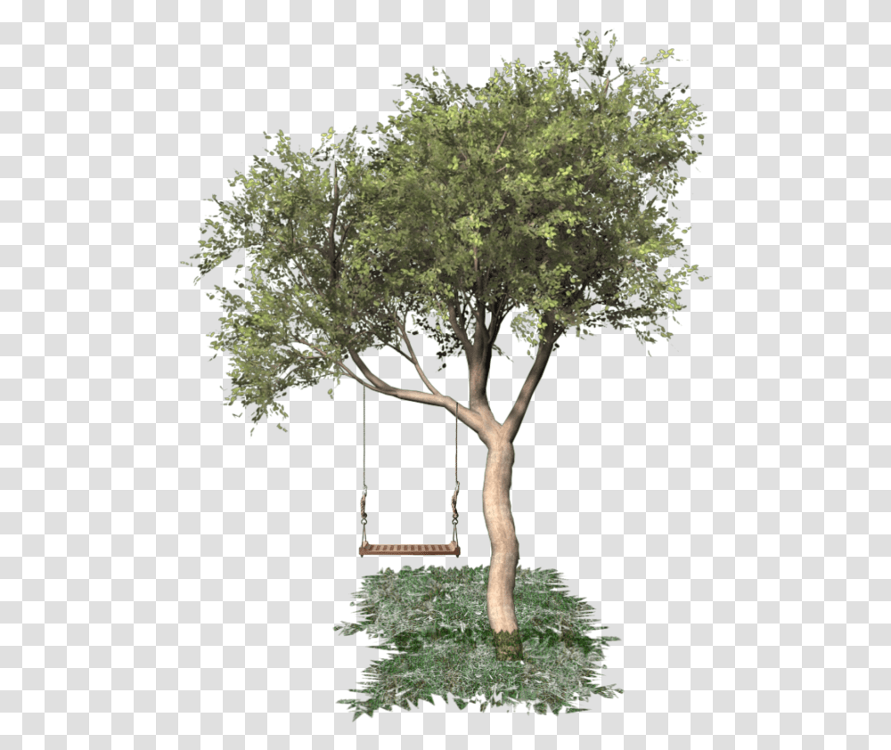 Fall Tree, Plant, Tree Trunk, Swing, Toy Transparent Png