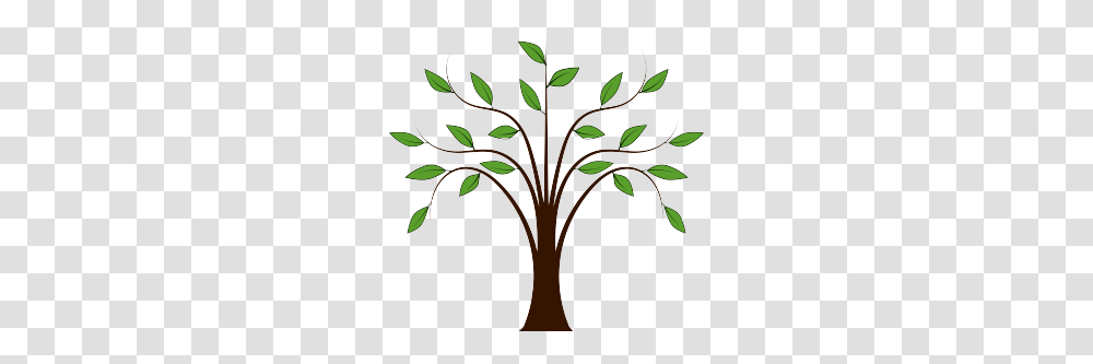Fall Tree Trunk Clipart, Plant, Stencil, Floral Design Transparent Png