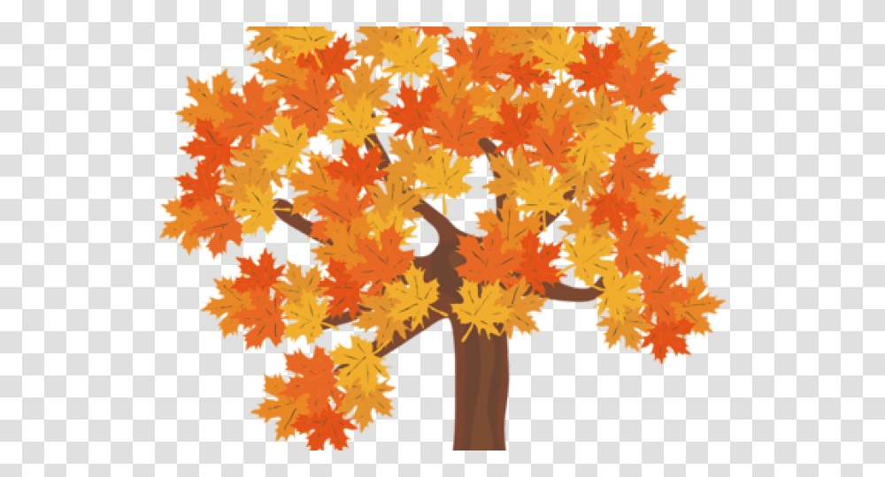 Fall Trees Clipart Fall Tree Background, Leaf, Plant, Maple, Maple Leaf Transparent Png