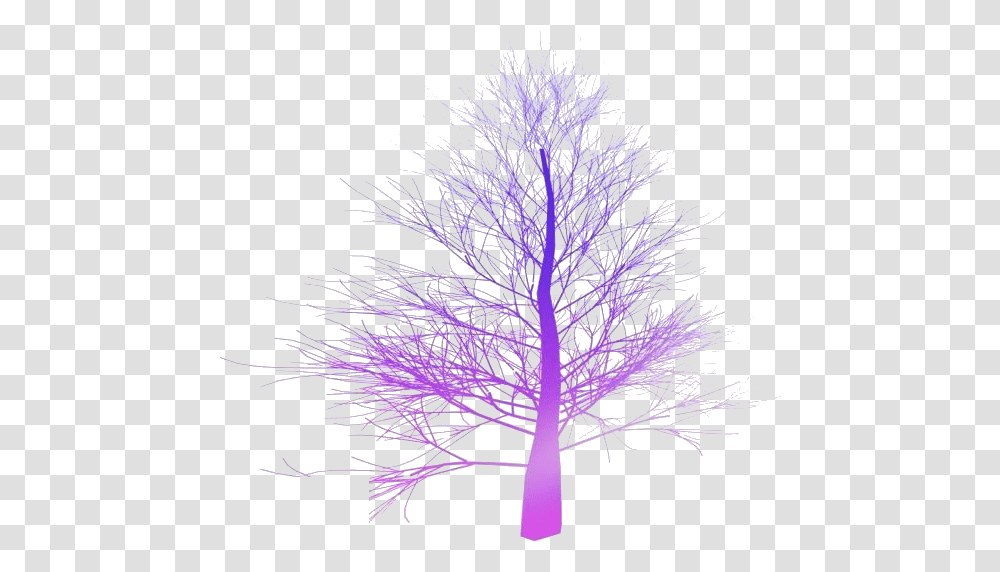 Fall Trees Images Spruce Tree No Leaves, Purple, Scenery, Outdoors, Nature Transparent Png