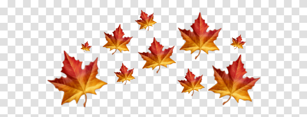 Falling Autumn Leaves For Editing, Leaf, Plant, Tree, Maple Transparent Png