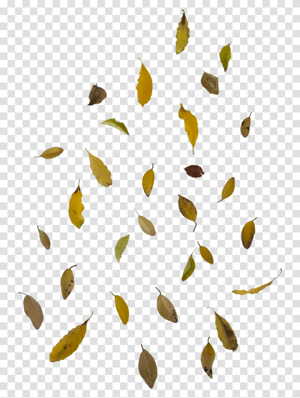 Falling Autumn Leaves Free Image Falling Leaves, Plant, Grain, Produce, Vegetable Transparent Png